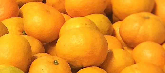 Satsuma Product Boxes